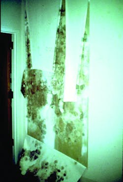 Hpac Com Sites Hpac com Files Uploads 2016 04 Odom Photo D Hpac Com Sites Hpac com Files Uploads 2016 04 Odom Photo D