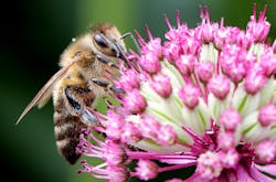 Hpac Com Sites Hpac com Files Uploads 2015 08 Getty Images 492851179 0 Hpac Com Sites Hpac com Files Uploads 2015 08 Getty Images 492851179 0