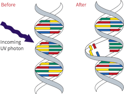 Hpac Com Sites Hpac com Files Uploads 2017 05 10 Managing Facilities Figure Web Hpac Com Sites Hpac com Files Uploads 2017 05 10 Managing Facilities Figure Web