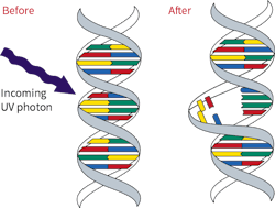 Hpac Com Sites Hpac com Files Uploads 2017 05 10 Managing Facilities Figure Web Hpac Com Sites Hpac com Files Uploads 2017 05 10 Managing Facilities Figure Web
