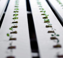 Hpac Com Sites Hpac com Files Uploads 2017 05 30 Floating Gardens Image 2 For Email Web Hpac Com Sites Hpac com Files Uploads 2017 05 30 Floating Gardens Image 2 For Email Web