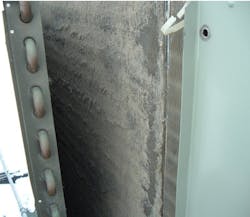 Www Hpac Com Sites Hpac com Files Cottonwood Seed On Coil Copy Www Hpac Com Sites Hpac com Files Cottonwood Seed On Coil Copy