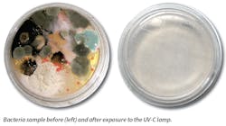 Www Hpac Com Sites Hpac com Files Uv C Clean Bacteria Samples Www Hpac Com Sites Hpac com Files Uv C Clean Bacteria Samples