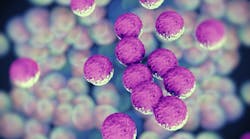 Methicillin-resistant Staphylococcus aureus (DTKUTOO/iStock)