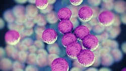 Methicillinresistant Staphylococcus aureus DTKUTOOiStock Methicillinresistant Staphylococcus aureus DTKUTOOiStock
