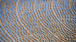 The Ivanpah Solar Electric Generating System in the Mojave Desert in California near Primm Nev on Feb 20 2014 The largest solar thermal powertower system in the world owned by NRG Energy Google and BrightSource Energy uses 347000 computercontrolled mirrors to focus sunlight onto boilers on top of three 459ft towers where water is heated to produce steam to power turbines providing power to more than 140000 California homes Photo by Ethan MillerGetty Images