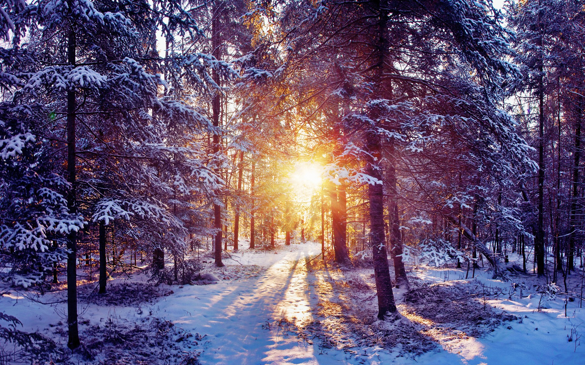 Snowy_sunrise_WI