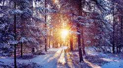 Snowy_sunrise_WI