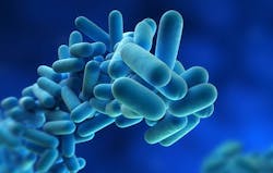 legionnaires2.jpg legionnaires2.jpg