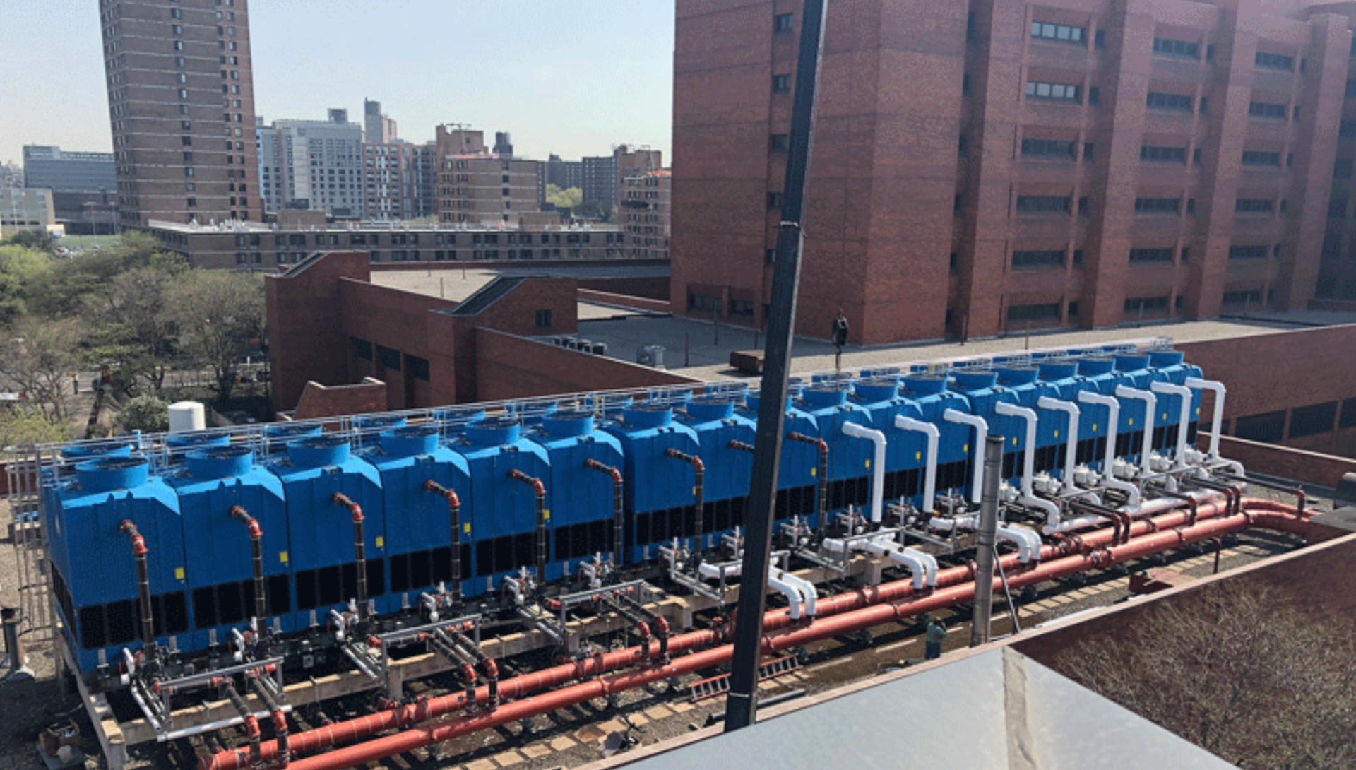 Bronx_microbial_guard