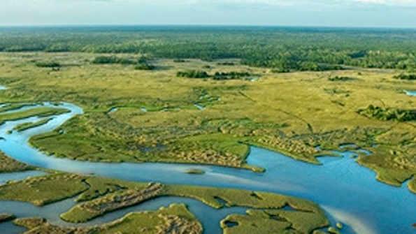 A sky view photo of a river running through grassy plains