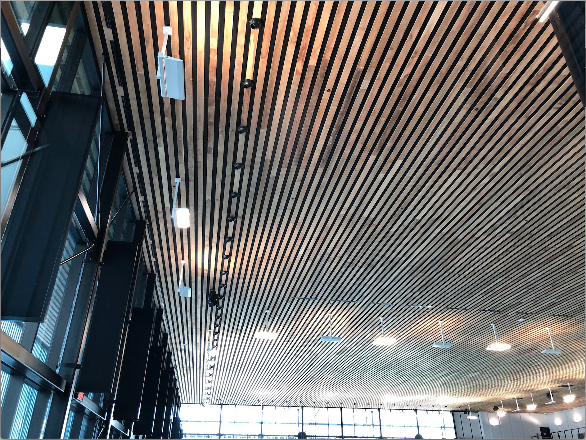 Screen Shot 2019-10-03 at 3.21.30 PM.png