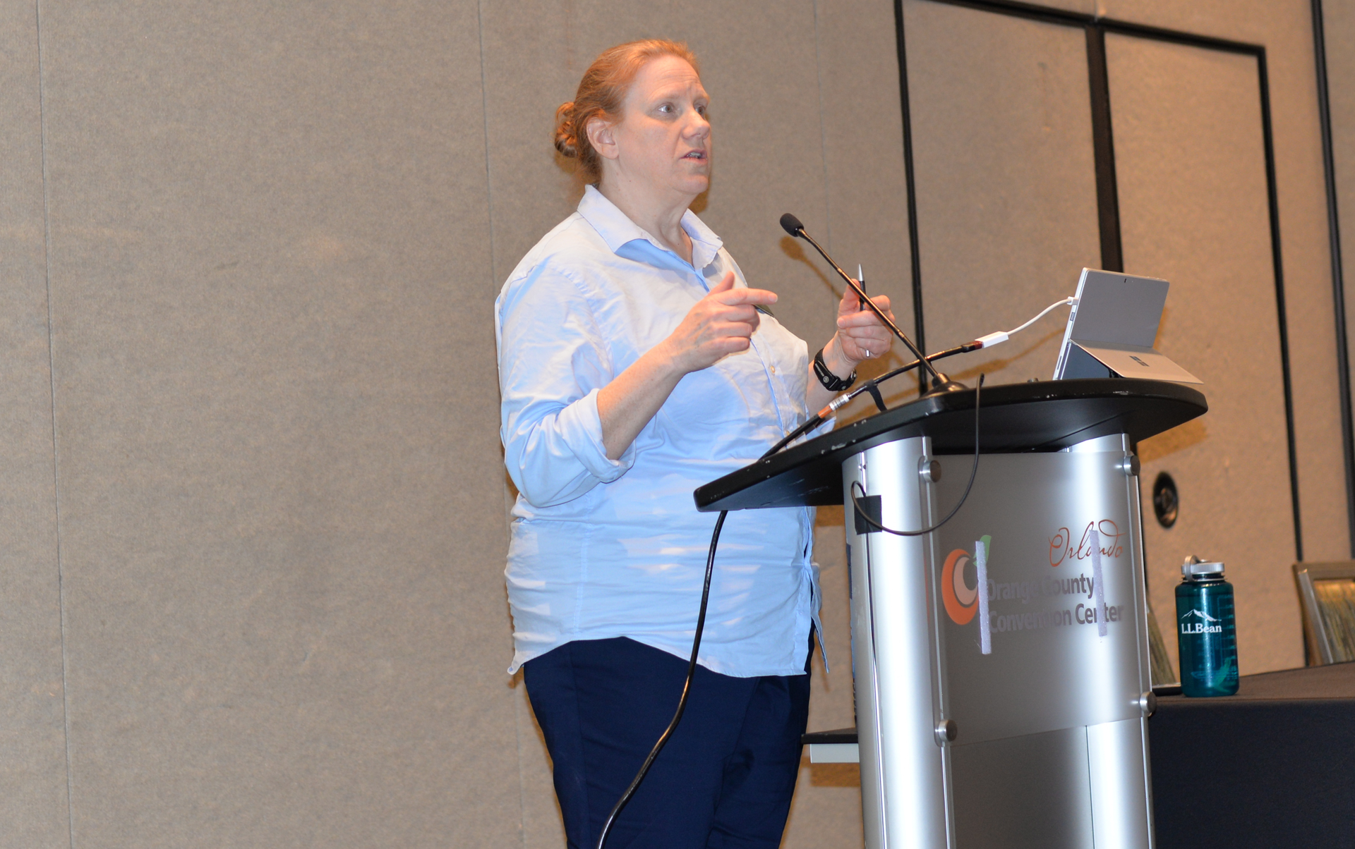 Ahr Day 2 Low Gwp 5e4240a95af00