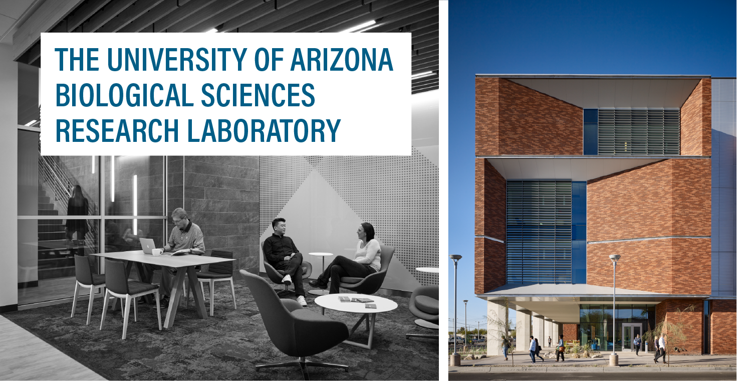 Image1 5eb3485ed1505