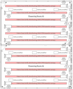 Hpac 0720 Cannabis 4 Hpac 0720 Cannabis 4