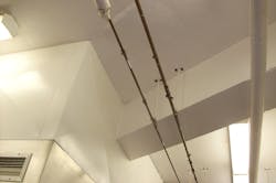 Figure (2): A view of failed copper domestic water piping at the same jail, with over 100 pinholes. Each pinhole leak above has a temporary patch over it (a rubber sleeve with a hose clamp). Figure (2): A view of failed copper domestic water piping at the same jail, with over 100 pinholes. Each pinhole leak above has a temporary patch over it (a rubber sleeve with a hose clamp).