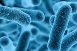 Download 5fb54d3c565a9 Download 5fb54d3c565a9