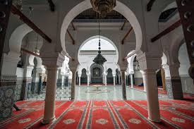 Ashrae Faith 6003289e52eff