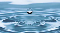 Water Warp