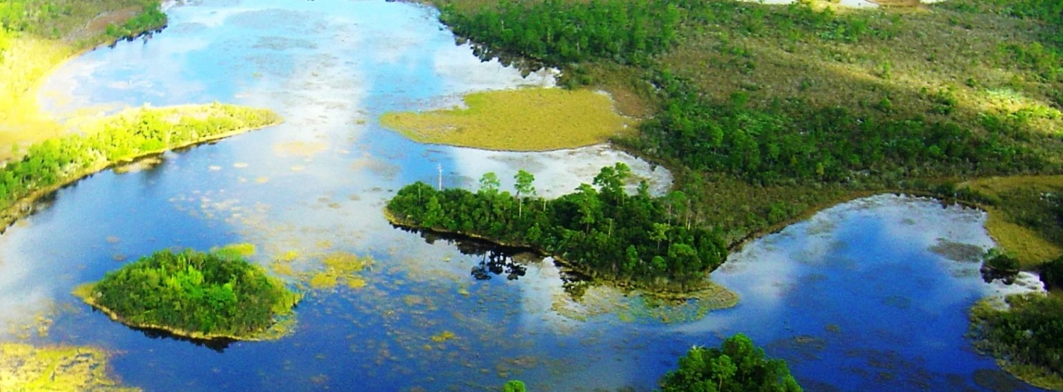 Shared Screenshot Everglades 60c298fe46d16