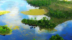 Shared Screenshot Everglades