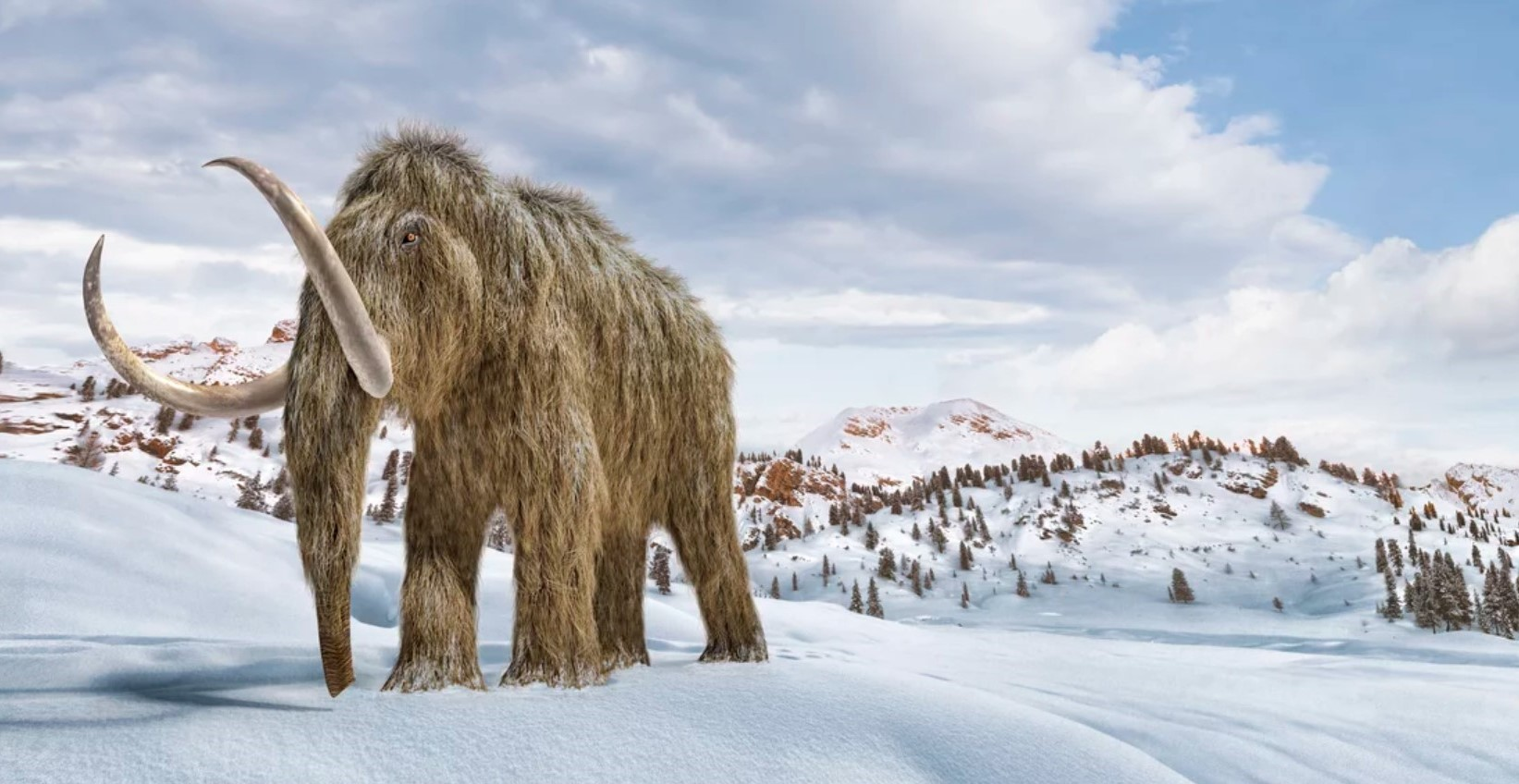 Shared Screenshot Woolly Mammoth 614dc308ed5ba