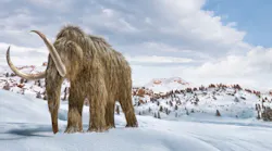 Shared Screenshot Woolly Mammoth