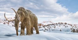 Shared Screenshot Woolly Mammoth 614dc308ed5ba Shared Screenshot Woolly Mammoth 614dc308ed5ba