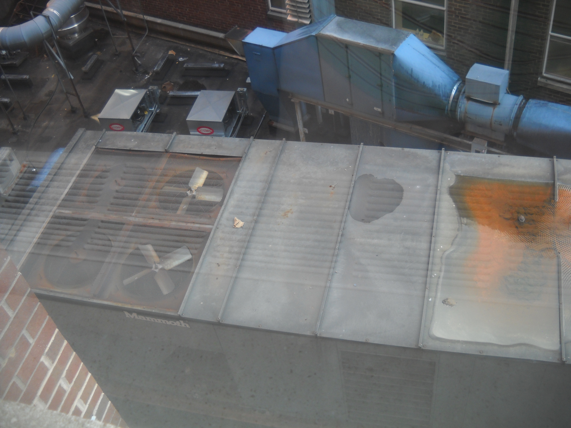 Geo G Photo 1 6175bd71835b4