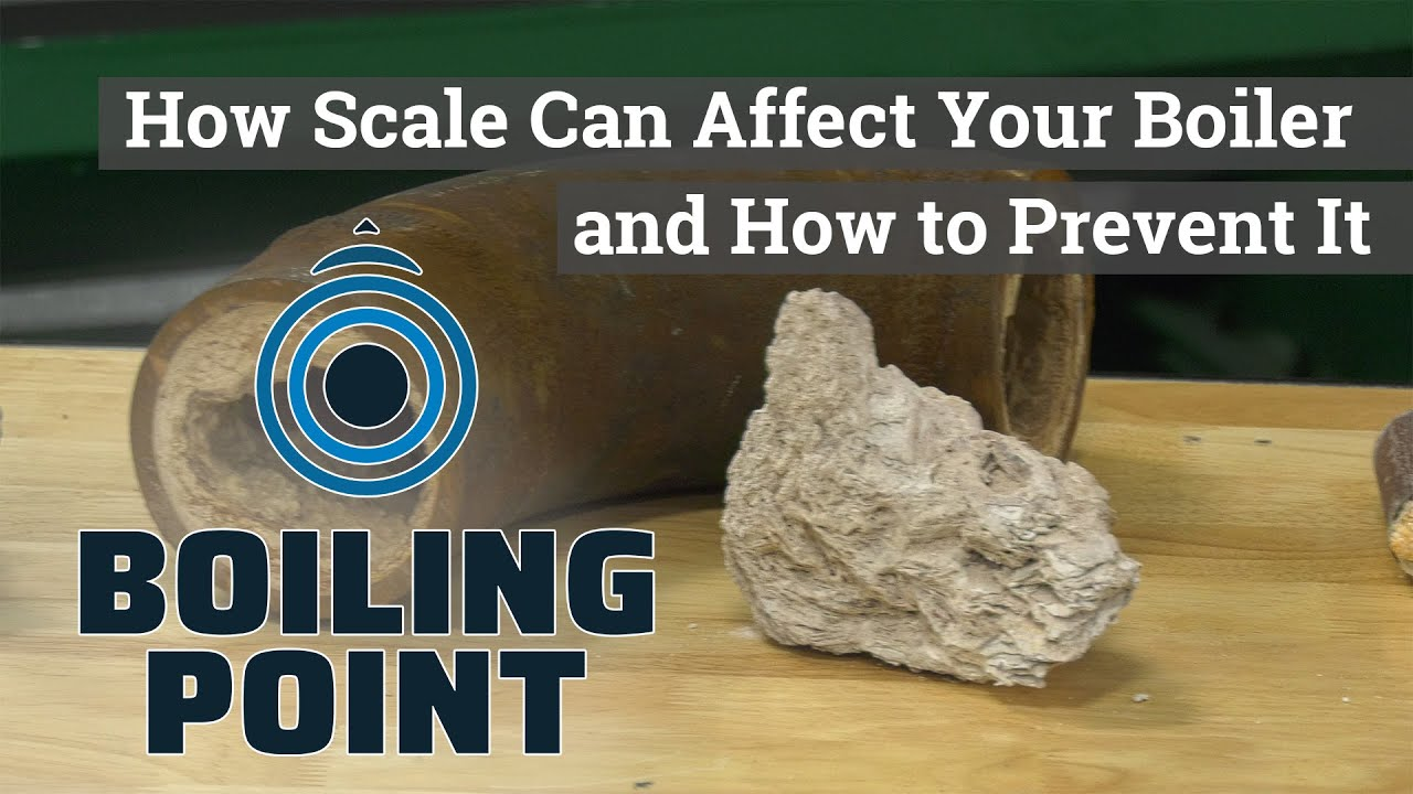 Maxresdefault 6169e51f10361