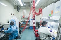 Two researchers working in room wearing containment gear