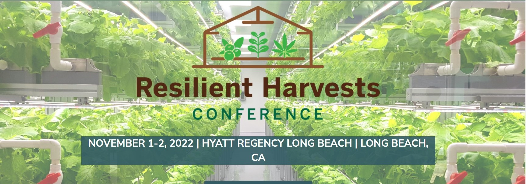Shared Screenshot Resilient Harvest 62423f925f0c7
