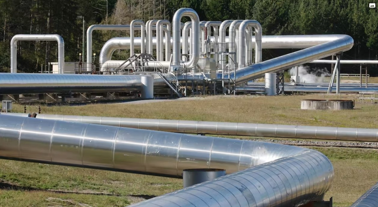 Shared Screenshot Dreamstime Doe 62ffa69255878