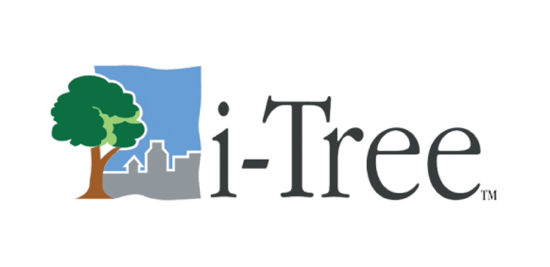 16 I Tree 03 1 6310da1f1ad0b