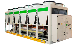 Pangea Keyter Small 6344bf91de82c