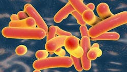 Lync Web Image Pathogen Mitigation 636870914e473 Lync Web Image Pathogen Mitigation 636870914e473