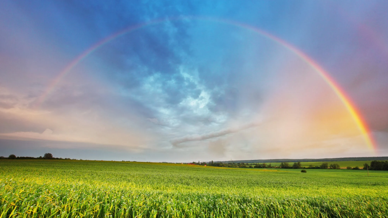 Screenshot 4 649742cc71e4f