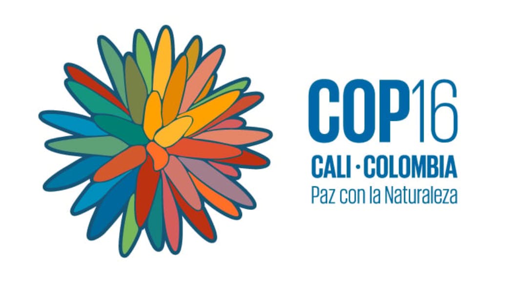 67116393b7ff90aa9111de57 Screenshot 20241017 141146