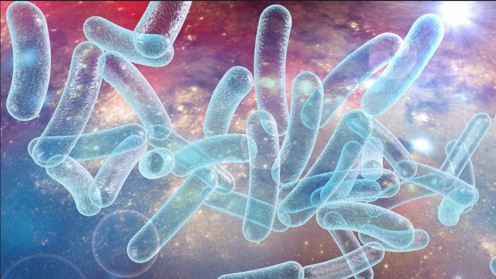 68965b13f3b3f5975f251b0f Screenshot 20250808 151450