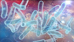 68965b13f3b3f5975f251b0f Screenshot 20250808 151450 68965b13f3b3f5975f251b0f Screenshot 20250808 151450