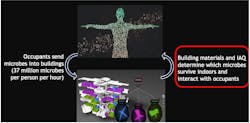 Figure 2: Human occupants shed many microbes into buildings which combine with existing microorganisms from outdoor and indoor sources. Building materials, ventilation, and use of spaces shape the dynamic indoor microbial communities through, “survival of the fittest.” This indoor building microbiome subsequently affects occupant microbiomes and health. Figure 2: Human occupants shed many microbes into buildings which combine with existing microorganisms from outdoor and indoor sources. Building materials, ventilation, and use of spaces shape the dynamic indoor microbial communities through, “survival of the fittest.” This indoor building microbiome subsequently affects occupant microbiomes and health.