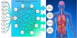 Figure 3: Continuous monitoring of relevant air contaminants and thermal metrics allows quantification of multi-pollutants on human physiology. Figure 3: Continuous monitoring of relevant air contaminants and thermal metrics allows quantification of multi-pollutants on human physiology.