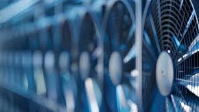 69f269b6d2f4f4832745494f Fanshagens Berman